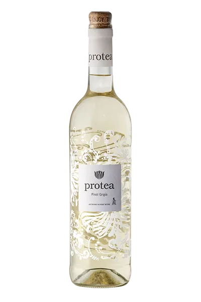 Protea Pinot Grigio-NV