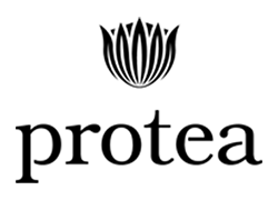 Protea Wines Logo Protea Wines Logo