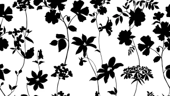 Protea Rose Meadow Print