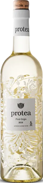 Protea wines Pinot Grigio 2019