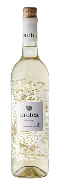 Protea Pinot Grigio-NV