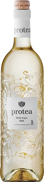 Protea wines Pinot Grigio 2023